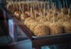 Best Caramel Apple Crisp